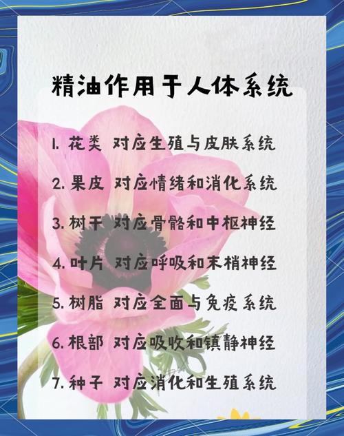 如何正确使用瘦身精油才能有效瘦身？