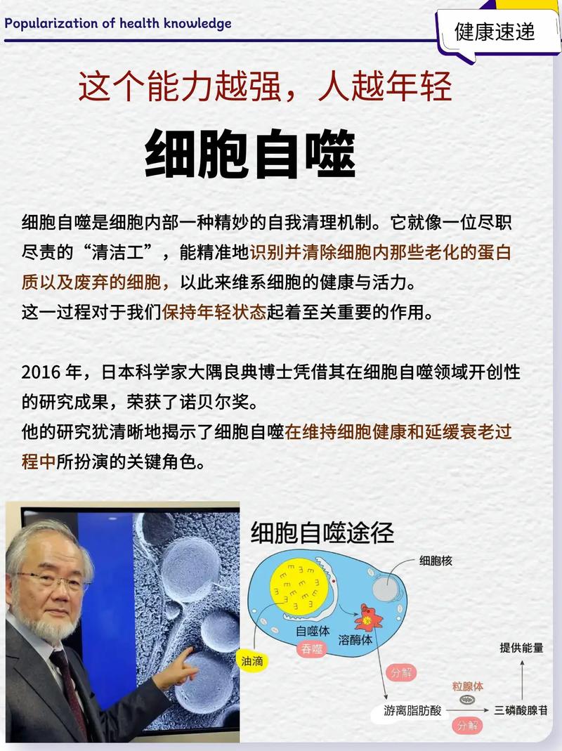 长期坚持饮食减肥戒严令，难道不是一种慢性自杀的行为吗？