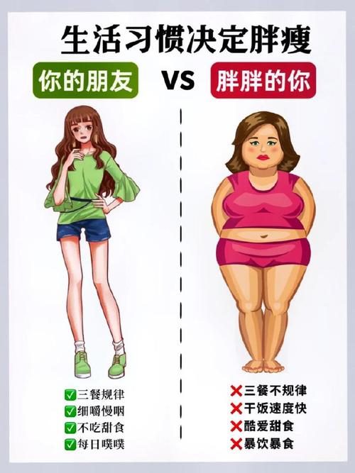 胖瘦之间差异，难道仅仅是代谢力的不同吗？