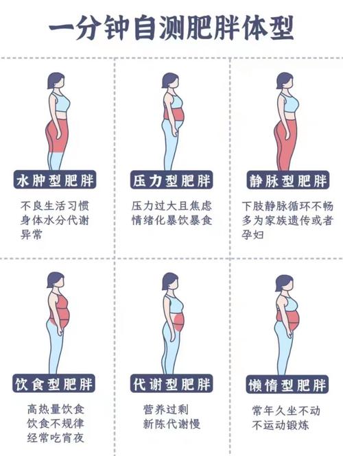 白领如何判断自己肥胖类型，重塑小蛮腰？