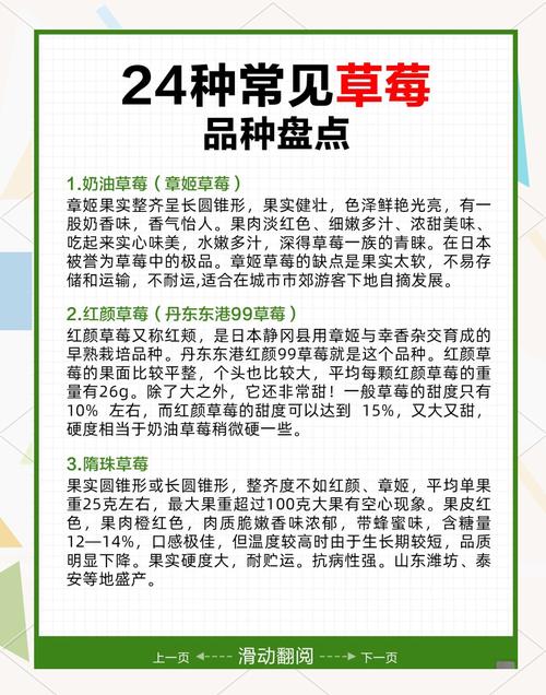 每天吃草莓真的能帮助不爱运动的人减肥吗？