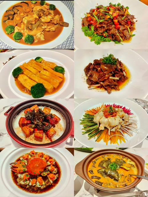 烹饪究竟是一门怎样的艺术，它如何将食材转化为美味的佳肴？