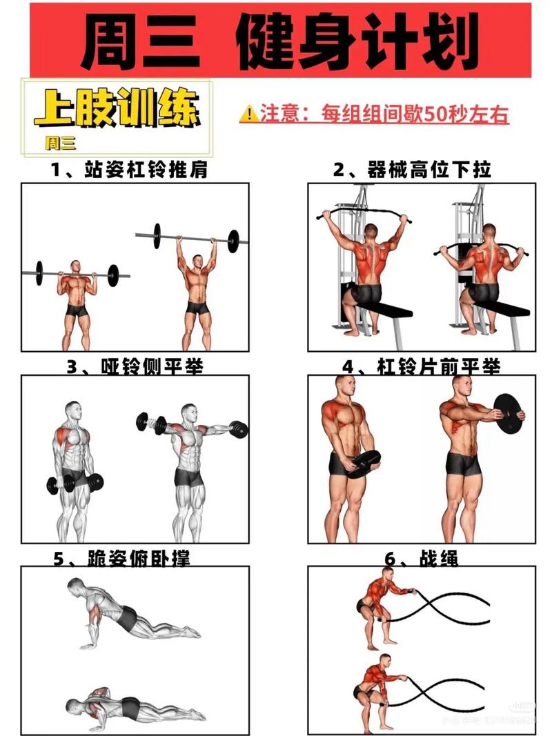 如何同过增肌来打造理想的健美身材呢？