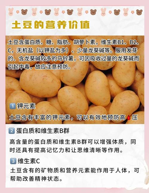 哪些蔬菜如萝卜土豆适合作为减肥期间的饮食选择？
