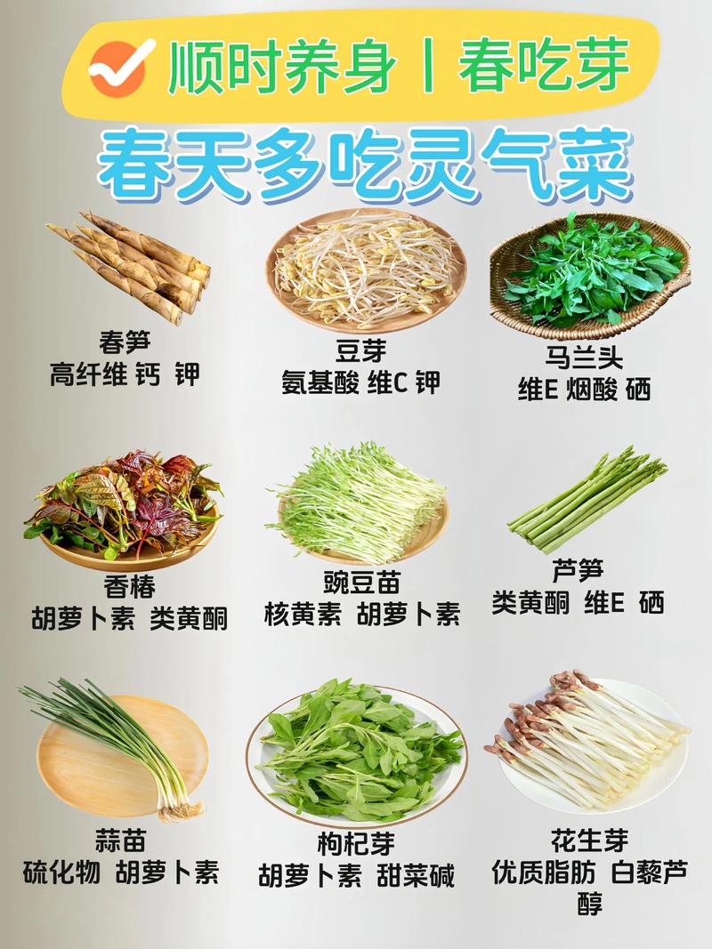 春季应该多吃哪些食物来养生？
