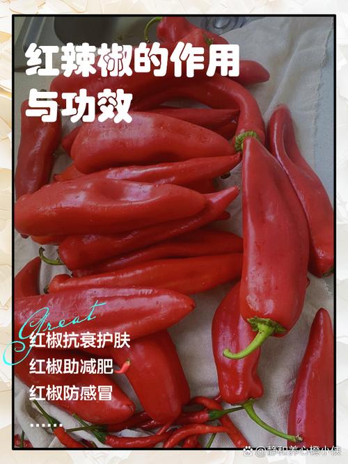 吃红辣椒真的能让脂肪细胞自我毁灭吗？