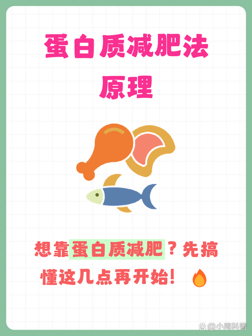 蛋白质减肥法有哪些潜在优点和风险？