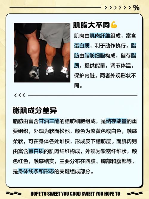 减肥后脂肪会转化成肌肉吗？