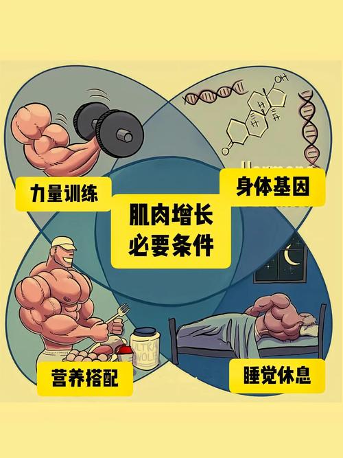 为什么在减肥期间，加强肌肉锻炼这么重要？