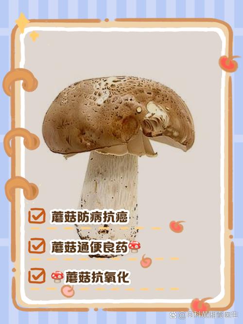 常吃蘑菇真的能帮助我有效减肥吗？